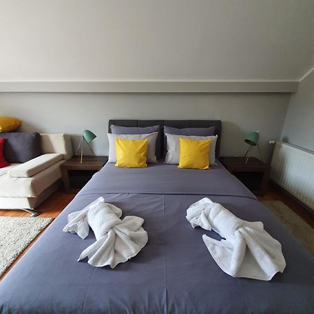 Guest House Mines Vrdnik Room photo